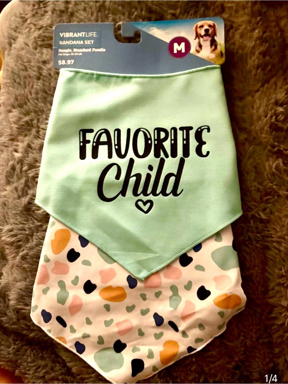 “Favorite Child" dog Bandana Mint & Multi